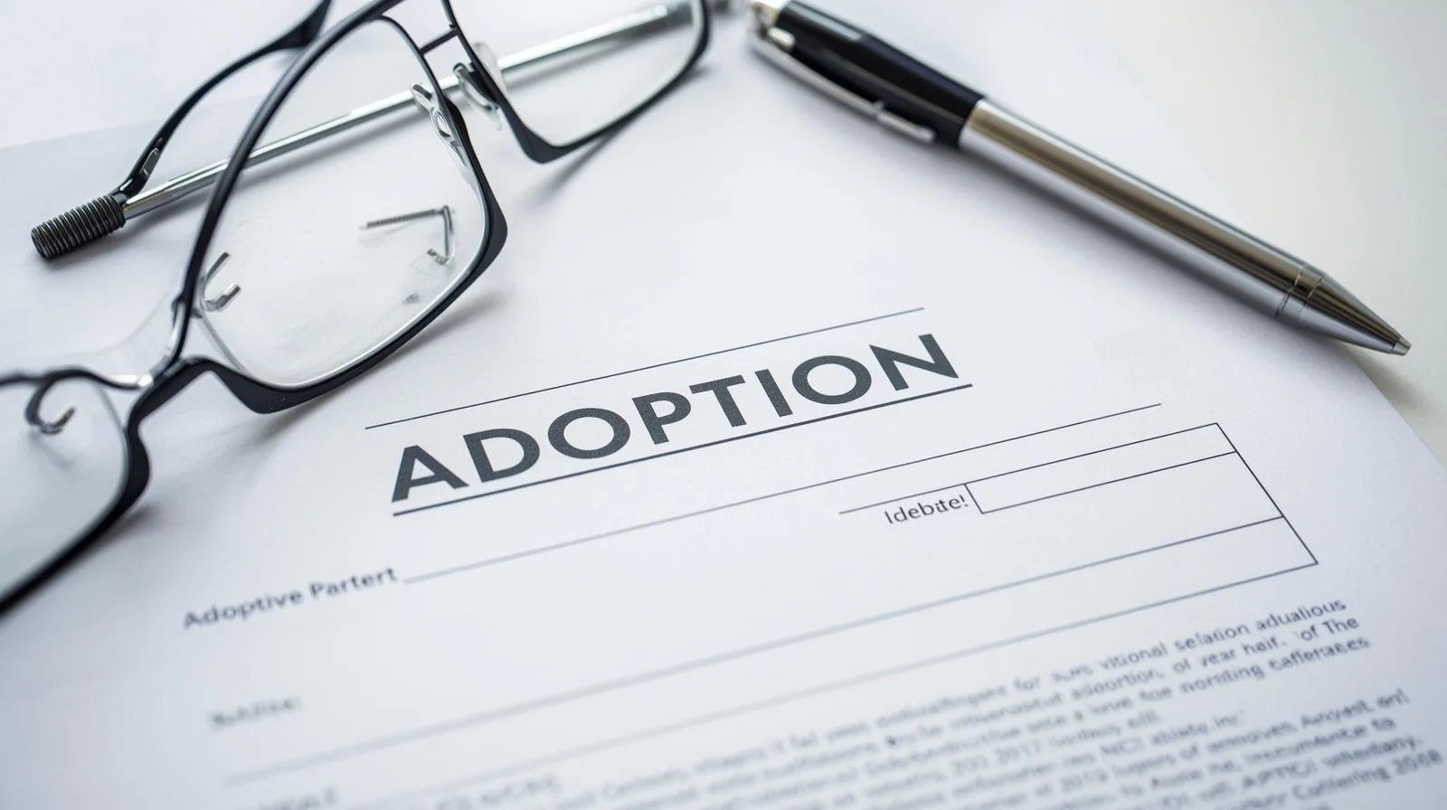 adoption legal paperwork for family court process